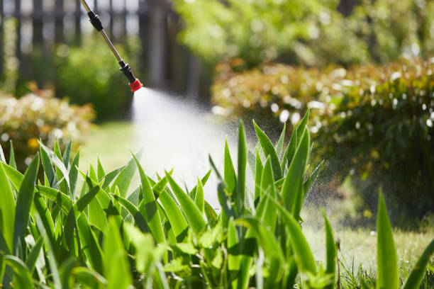 24/7 Emergency Mosquito Control experts in Falmouth, VA
