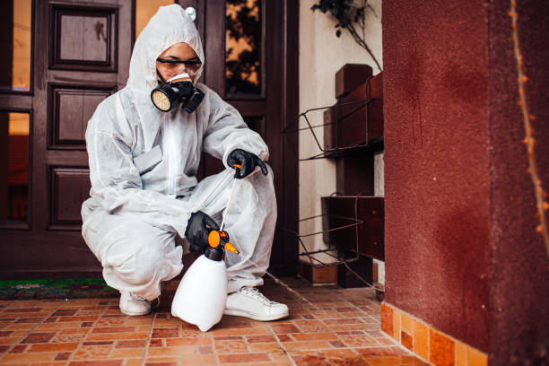 Reliable Mosquito Control contractor in Falmouth, VA by Show Me Pest Control