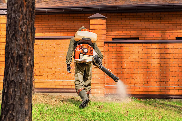 Top rated local Mosquito Control specialists in Falmouth, VA